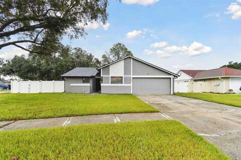 Black Pine, TAMPA, FL 33624