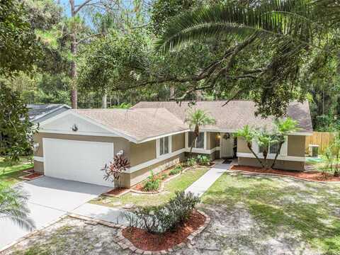 Black Pine, TAMPA, FL 33624