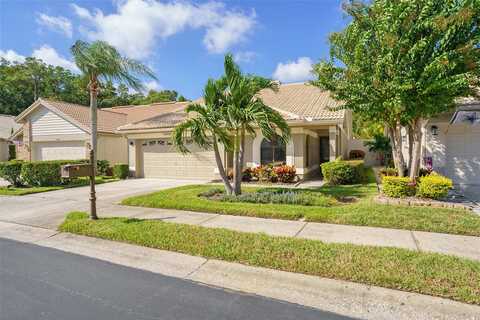 Darston, PALM HARBOR, FL 34685