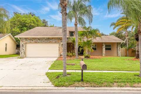 Adam, PALM HARBOR, FL 34683