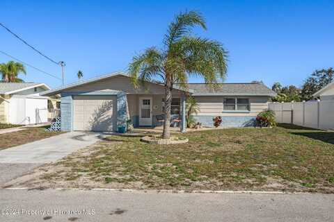 Allyn, HUDSON, FL 34667