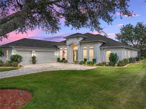 Thoroughbred, DADE CITY, FL 33525