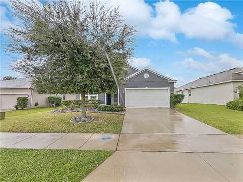 Zander, GRAND ISLAND, FL 32735