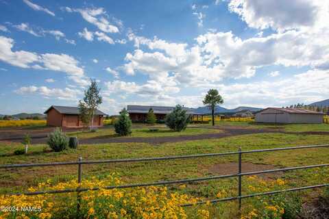 Pabst, FLAGSTAFF, AZ 86004