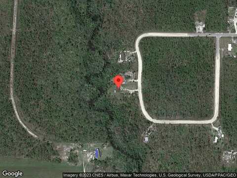Sweet Gum, WEWAHITCHKA, FL 32465