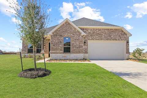 Turnstone, MANVEL, TX 77578