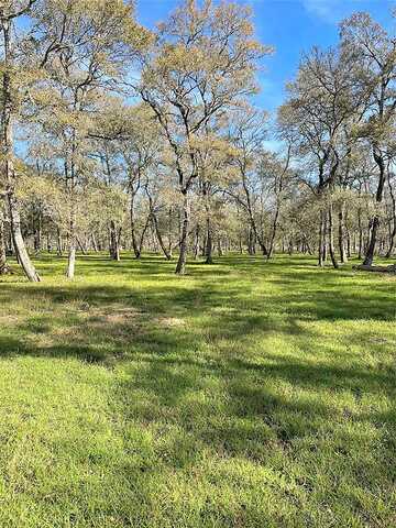 Tierra Grande, NEEDVILLE, TX 77461