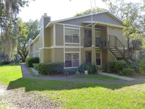 Hanging Moss, TAMPA, FL 33613