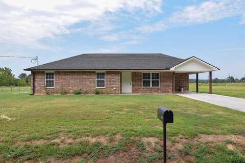 County Road 1330, PITTSBURG, TX 75686