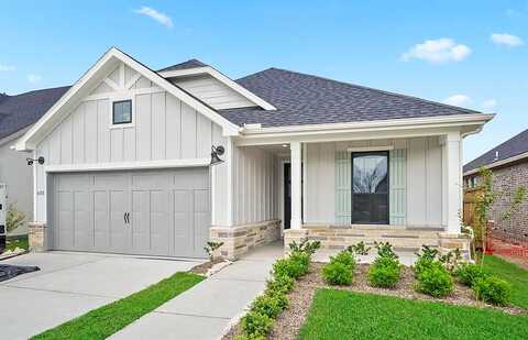 Regala Drive, Manvel, TX 77578