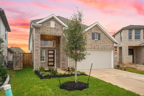 Garden Palm, Cypress, TX 77433