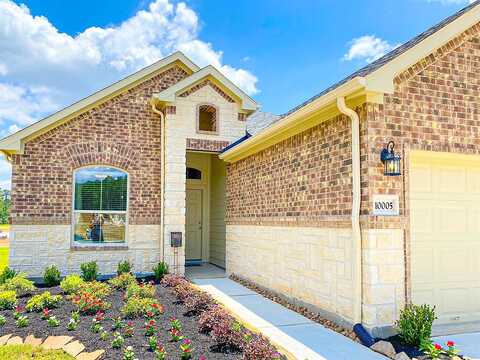 Perissa Terrace Drive, Hockley, TX 77447