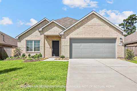 Live Springs Court, Rosenberg, TX 77471