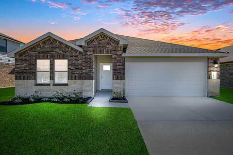 Fringed Bluestar Drive, Rosharon, TX 77583