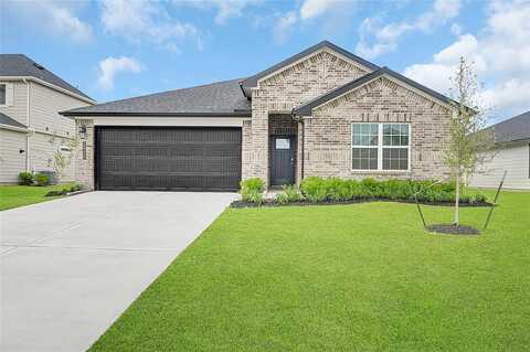 Waving Willow Way, Rosenberg, TX 77469