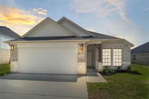 Tilley Drive, Rosenberg, TX 77471