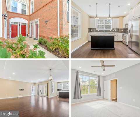 Southdown Manor Terrace, Ashburn, VA 20148