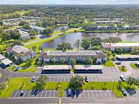 Lakeview Way, Oldsmar, FL 34677