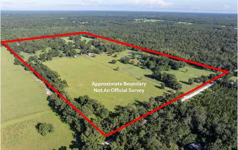 61St Rd (79 Acres), Wellborn, FL 32094