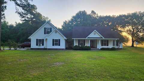 Darwell Long Road Ne, Ludowici, GA 31316