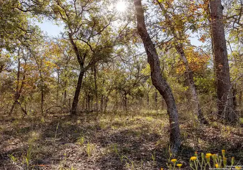 Vivroux Ranch, SEGUIN, TX 78155