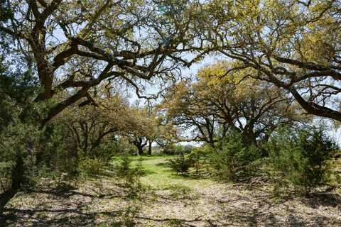 Stone Ridge Mountain, ROUND MOUNTAIN, TX 78663