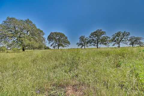 Starlight, RED ROCK, TX 78662