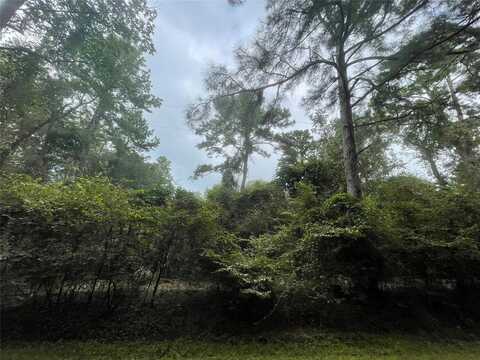 Corolla Road, Magnolia, TX 77354