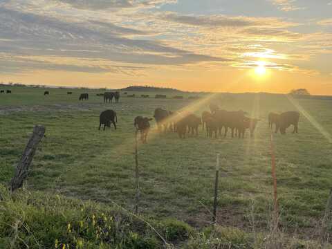 Cr 200, San Saba, TX 76877