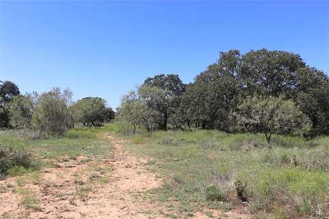 Ac. Tbd, Tract 2 County Road 186, Gorman, TX 76454