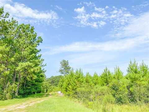 Jimbo Nettles Rd, Livingston, TX 77351