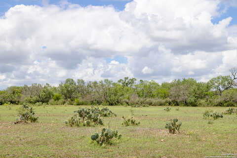 Cr 651, Devine, TX 78016