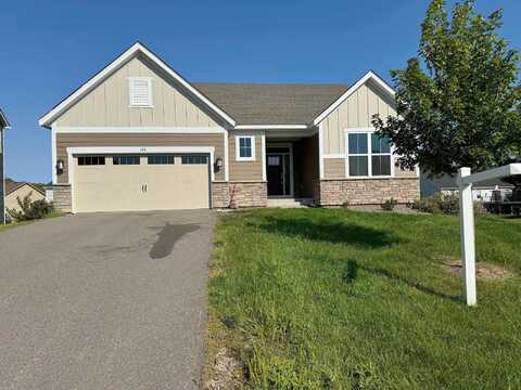 Lupine, DELANO, MN 55328