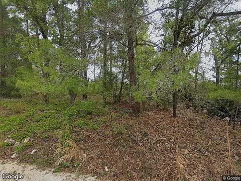 Ridge, SATSUMA, FL 32189