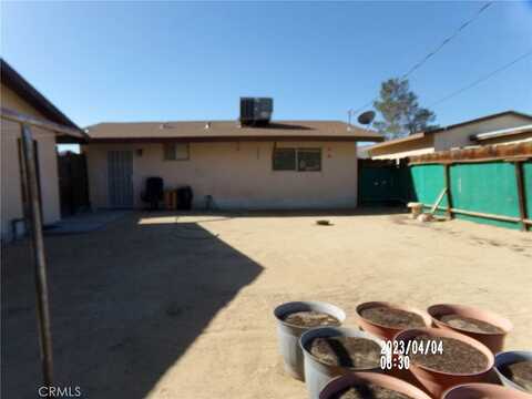 Petunia, JOSHUA TREE, CA 92252