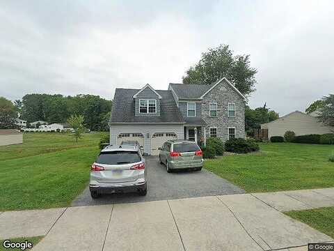 Wildflower, MOUNTVILLE, PA 17554