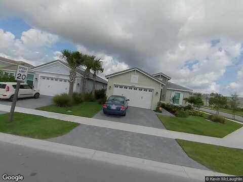 Buttonbush, LOXAHATCHEE, FL 33470