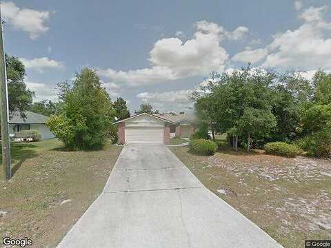 Bald Eagle, KISSIMMEE, FL 34746