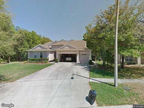 River Birch, RIVERVIEW, FL 33569