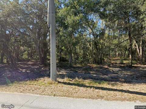 Little Cloud, VALRICO, FL 33594