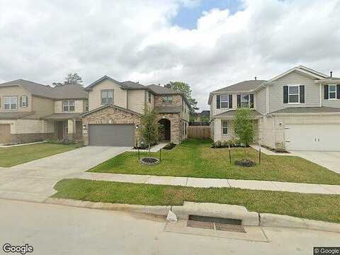 Shady Palmetto, HOUSTON, TX 77068