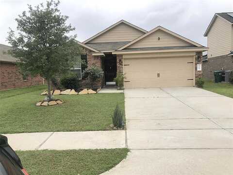 Umbrella Pine, TOMBALL, TX 77375