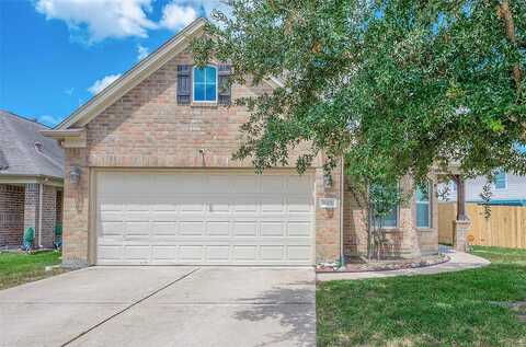 Baldwin Spruce, TOMBALL, TX 77375