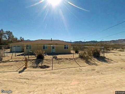 Chollita, JOSHUA TREE, CA 92252