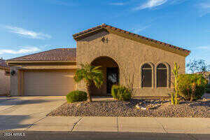 Blue Spruce, GILBERT, AZ 85298