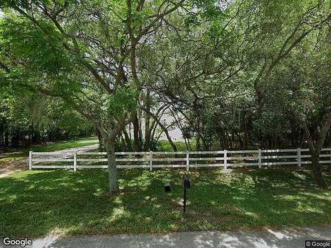 Crossandra, SPRING HILL, FL 34610