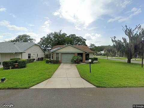 English Elm, NEW PORT RICHEY, FL 34654