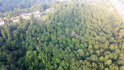White Pine, CHRISTIANSBURG, VA 24073