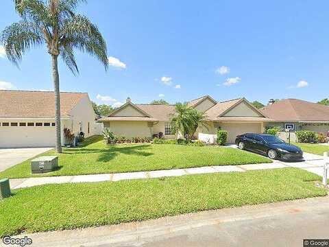 Cypress View, TAMPA, FL 33647