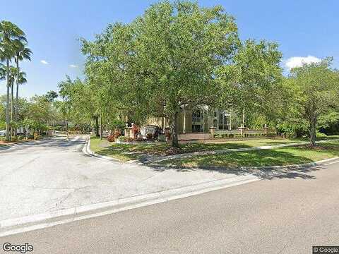 Carrington Park, TAMPA, FL 33647